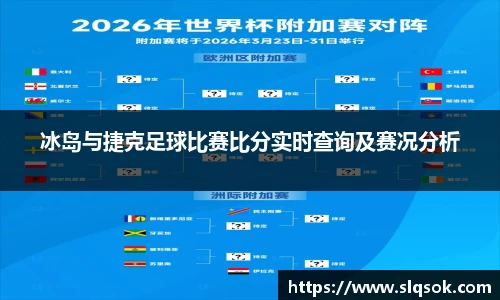 冰岛与捷克足球比赛比分实时查询及赛况分析